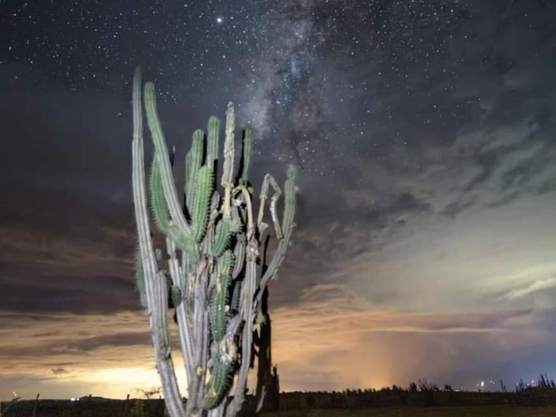 Pachingo La Primavera วิลญาเวียคา ภายนอก รูปภาพ