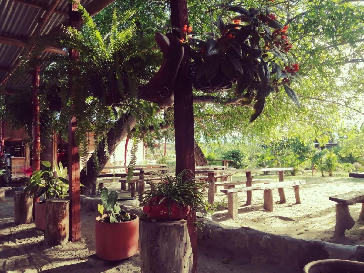 Pachingo La Primavera วิลญาเวียคา ภายนอก รูปภาพ