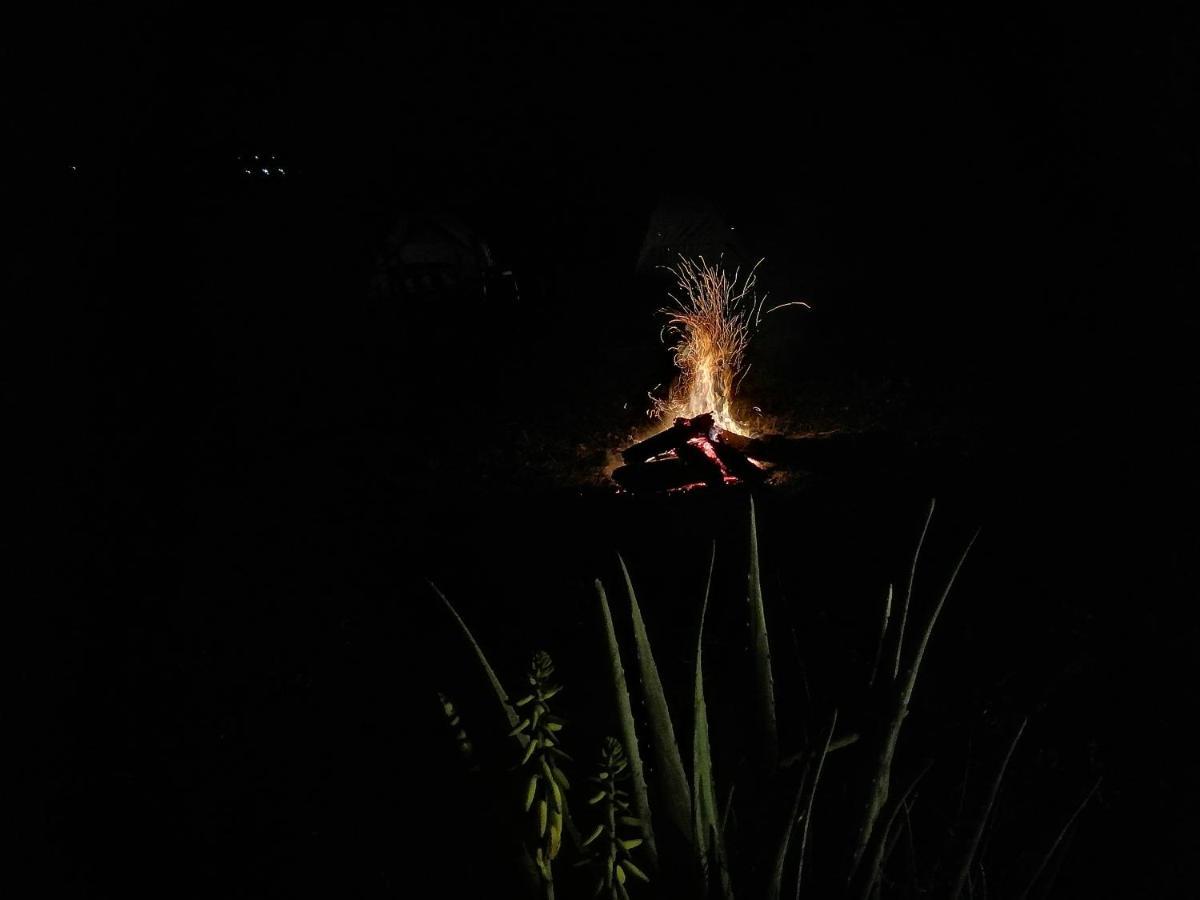 Pachingo La Primavera วิลญาเวียคา ภายนอก รูปภาพ