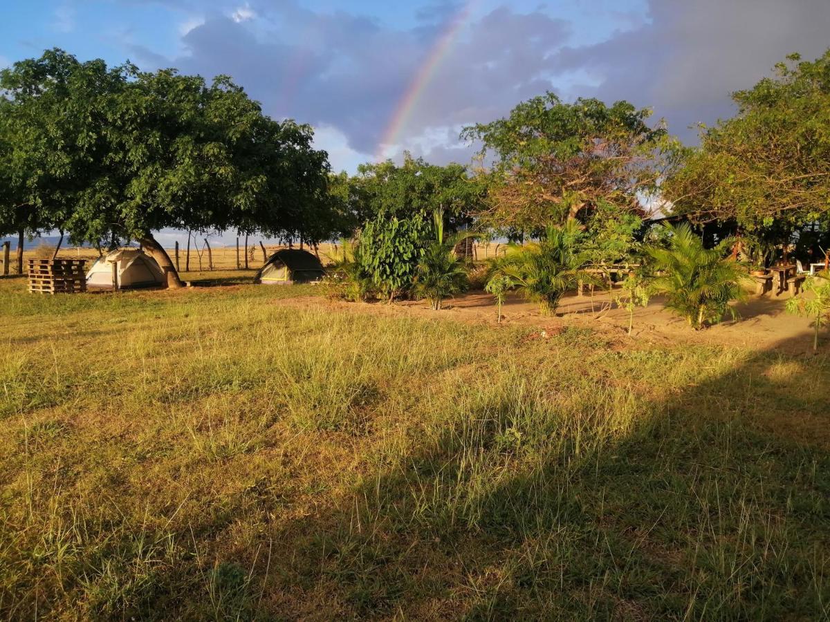 Pachingo La Primavera วิลญาเวียคา ภายนอก รูปภาพ