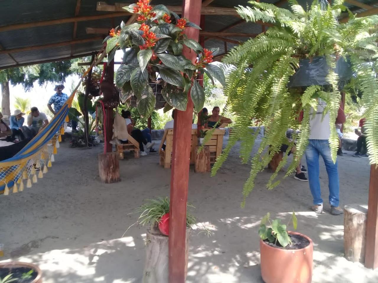 Pachingo La Primavera วิลญาเวียคา ห้อง รูปภาพ