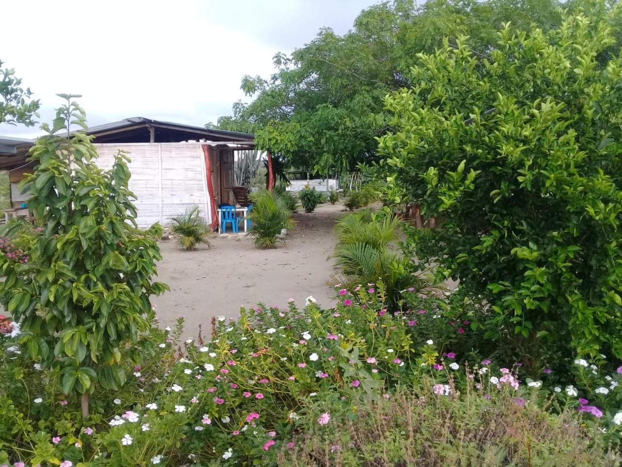 Pachingo La Primavera วิลญาเวียคา ห้อง รูปภาพ
